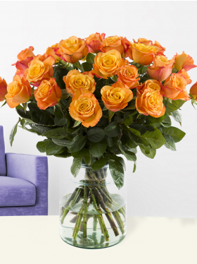 Orange Rosen